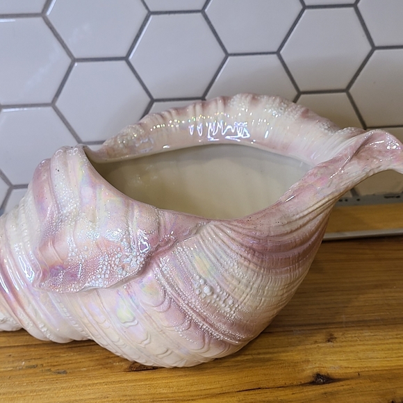 Porcelain Sea Shell - Picture 2 of 6